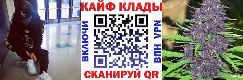 Купить наркотики сайты Приморск МЕТАДОН  COCAIN  omg онион  ГАШИШ  Конопля  APVP 