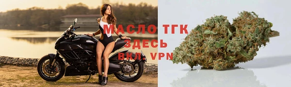 spice Гусев