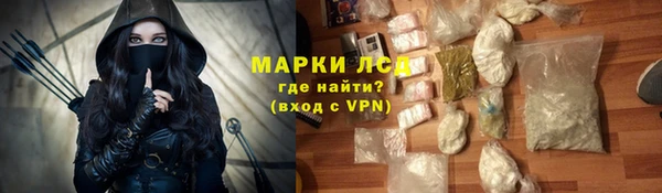 spice Гусев