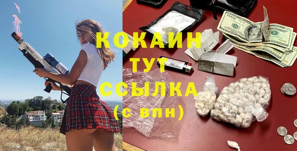 spice Гусев