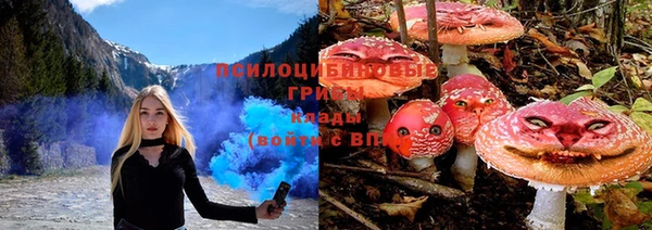 spice Гусев