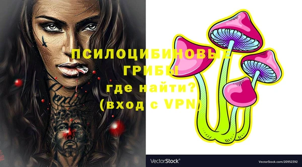 spice Гусев