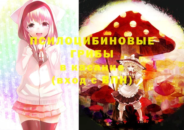 spice Гусев