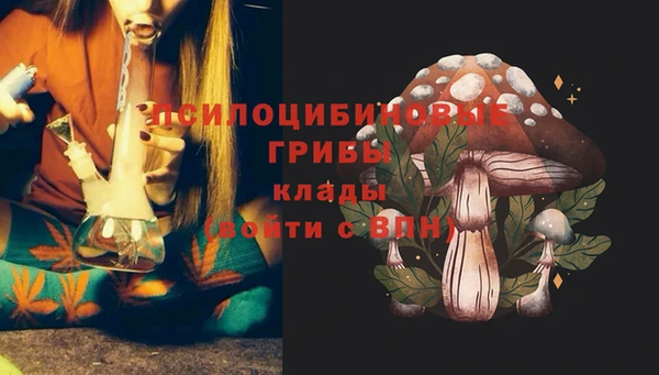 круглые Гусь-Хрустальный
